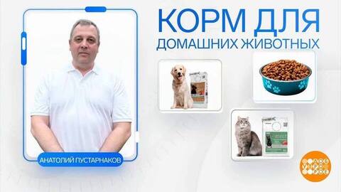 Семейный бизнес: дело найдется всем! Даже собакам... Доброе утро. Фрагмент