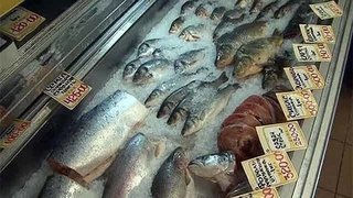 «Среда обитания. О чем молчит рыба». Документальный фильм